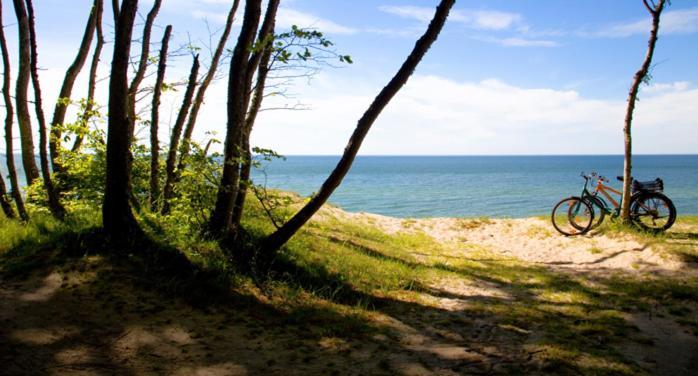 Apartament Premium Green Dune W Porto Łeba Extérieur photo